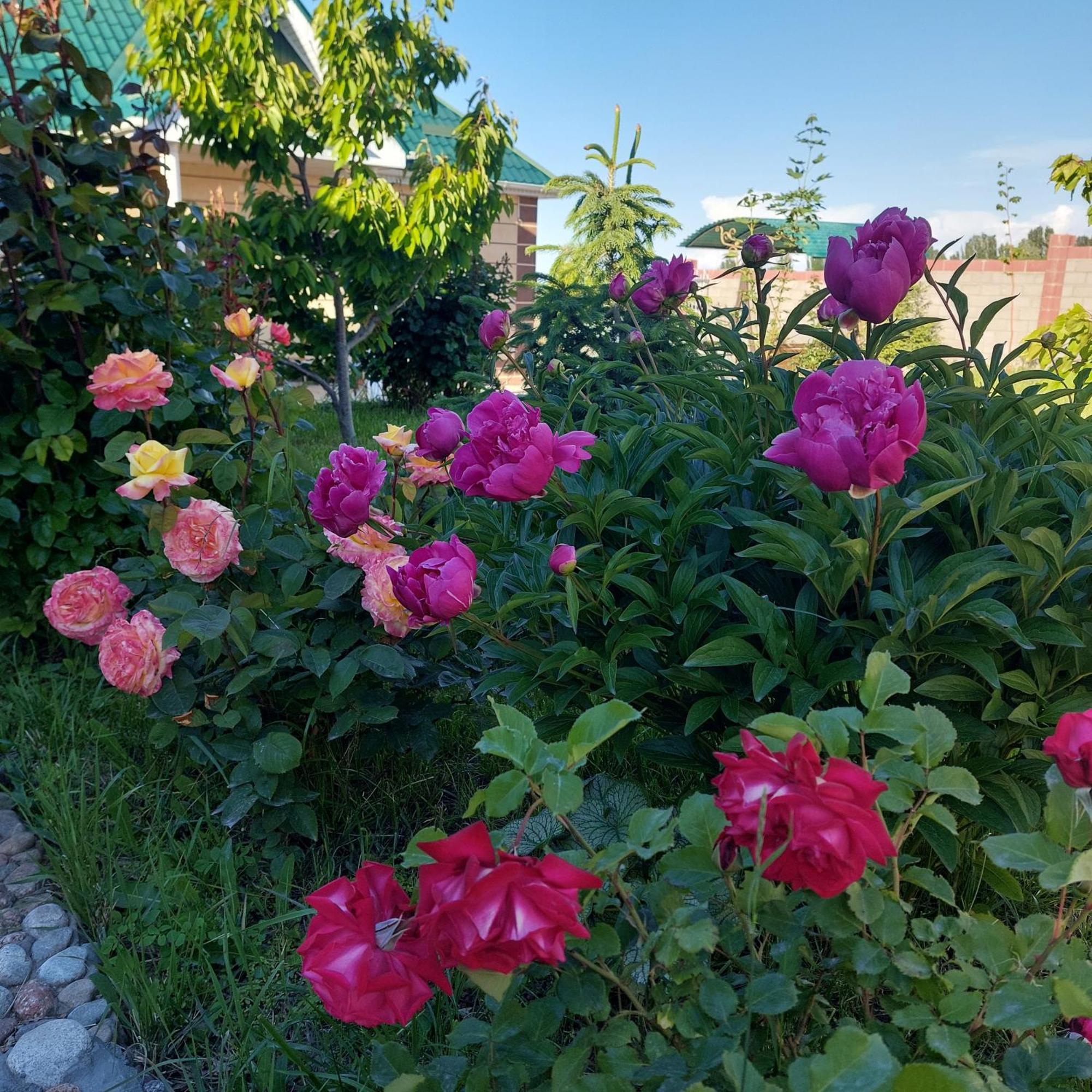 Svetlana Guest House Bokonbayevo ภายนอก รูปภาพ