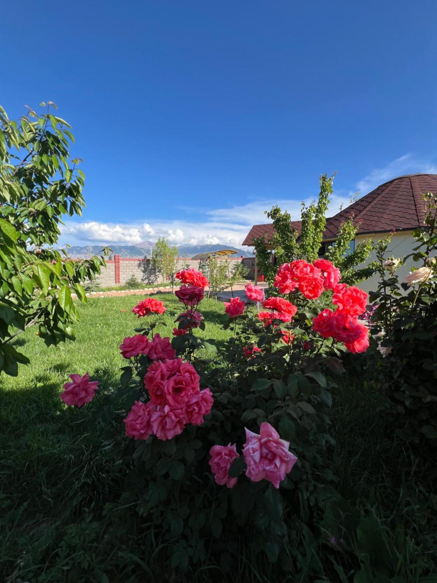Svetlana Guest House Bokonbayevo ภายนอก รูปภาพ