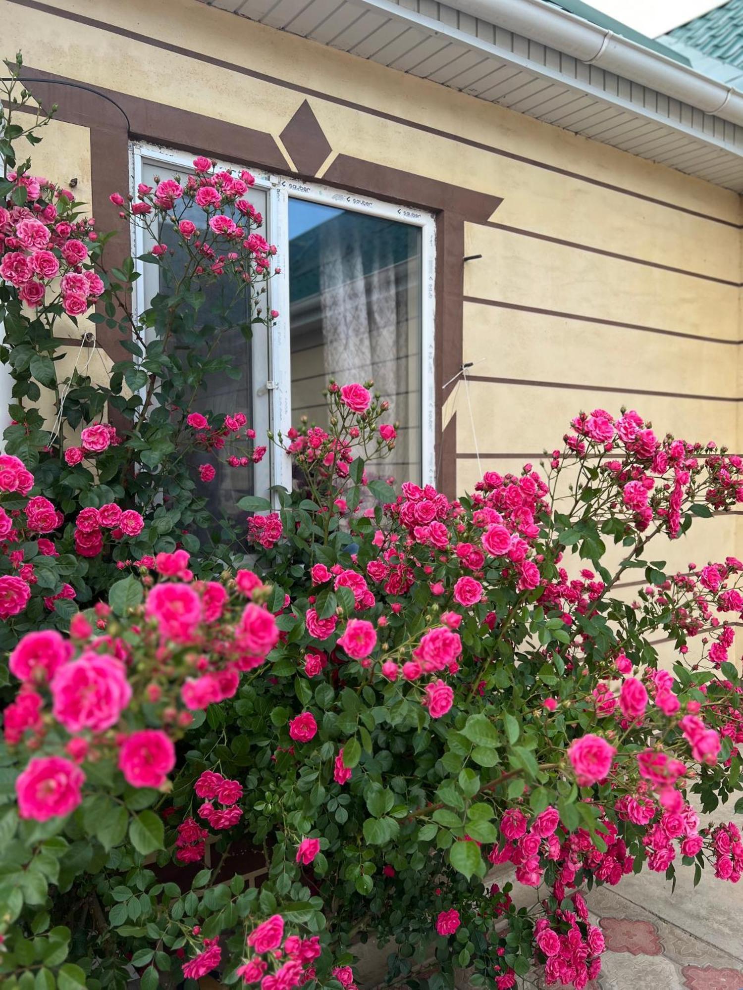 Svetlana Guest House Bokonbayevo ภายนอก รูปภาพ