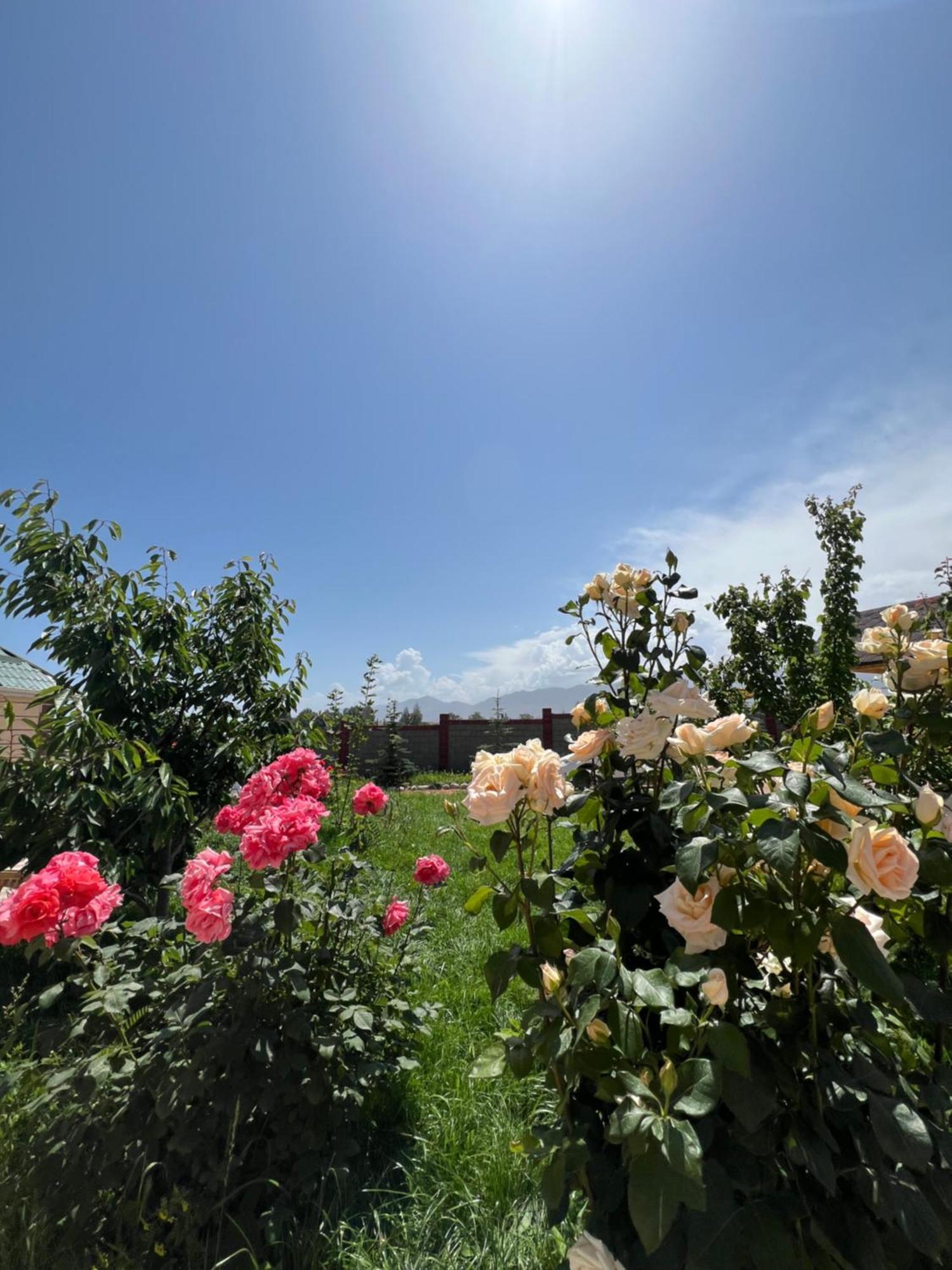 Svetlana Guest House Bokonbayevo ภายนอก รูปภาพ
